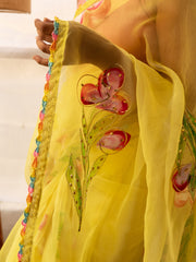 Gulzaar: Handpainted Embroidered Saree Collection