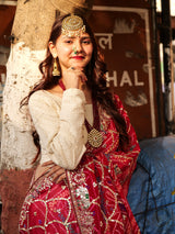 Rangmahal GajMayur