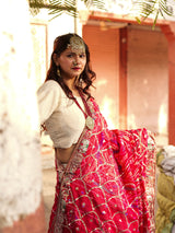 Rangmahal GajMayur